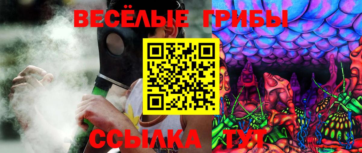 Псилоцибиновые грибы Psilocybe  как найти закладки  Вход с VPN  Курчатов  Псилоцибиновые грибы мицелий 