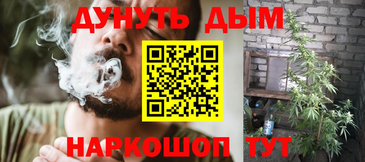 Конопля семена  Марихуана THC 21%  Курчатов  Каннабис индика  Вход с VPN 