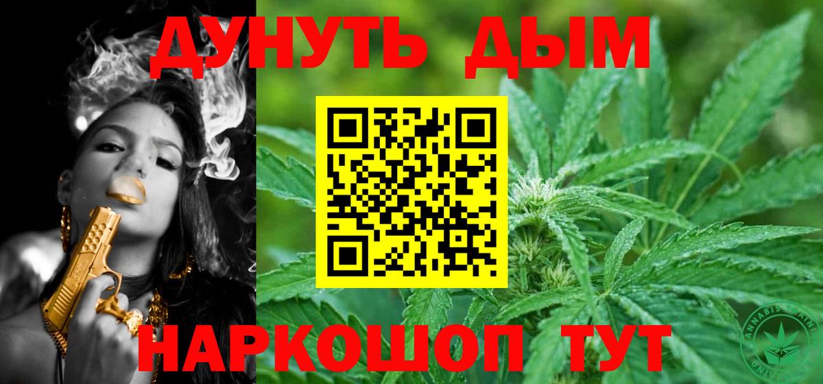 Канабис гибрид Курчатов
